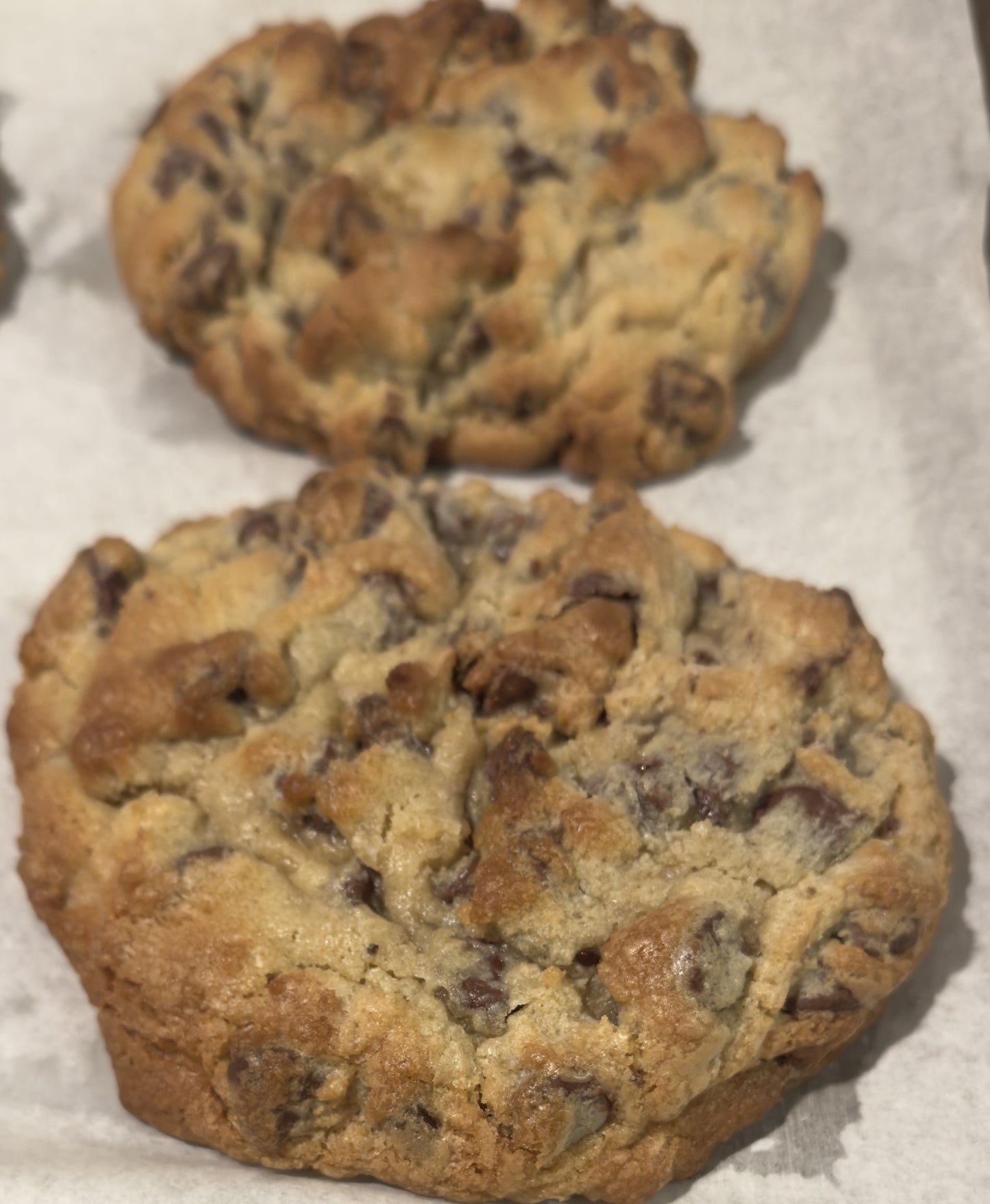 Chocolate Chip Cookie