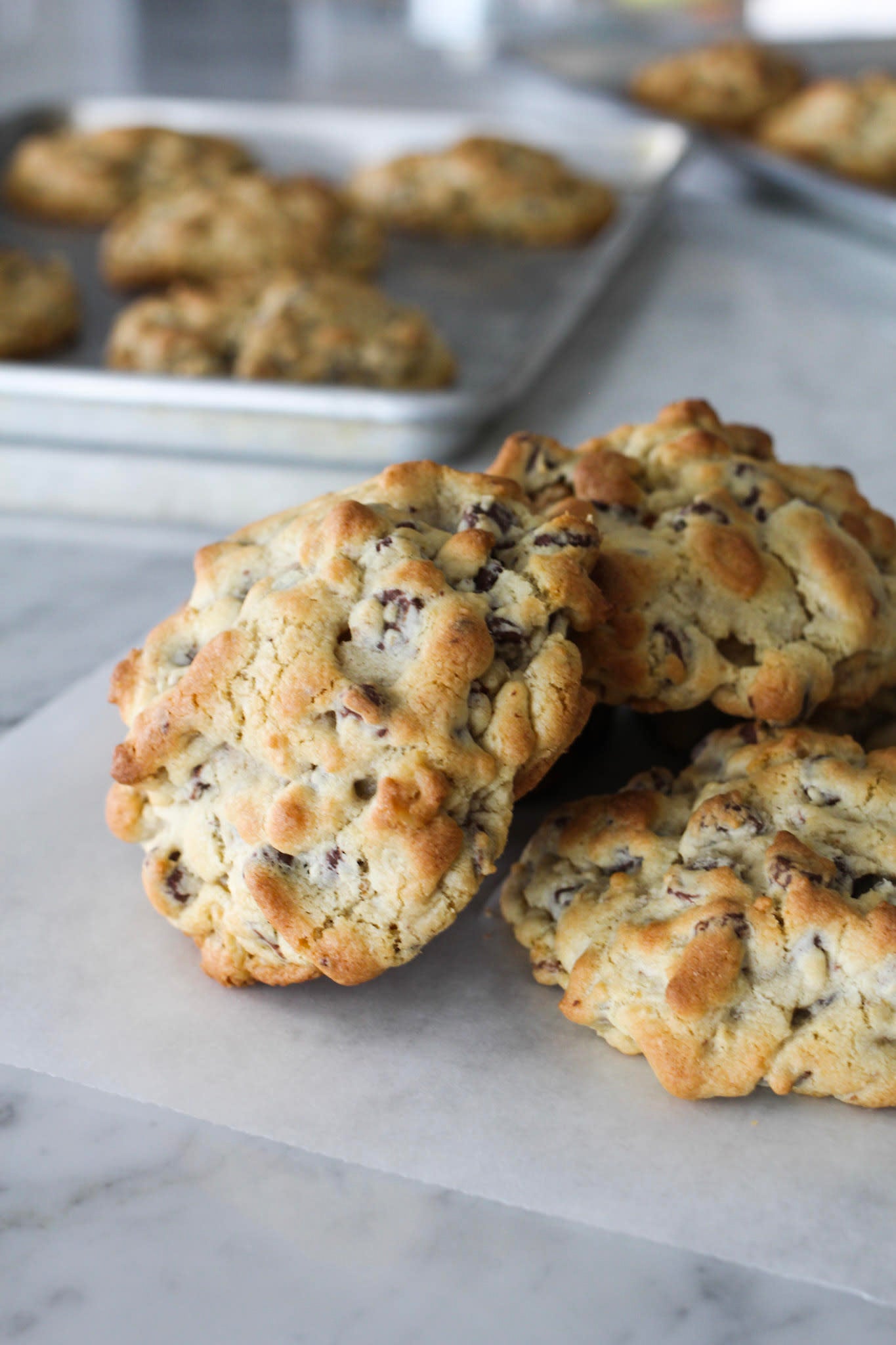 Walnut Chocolate Chip Cookies