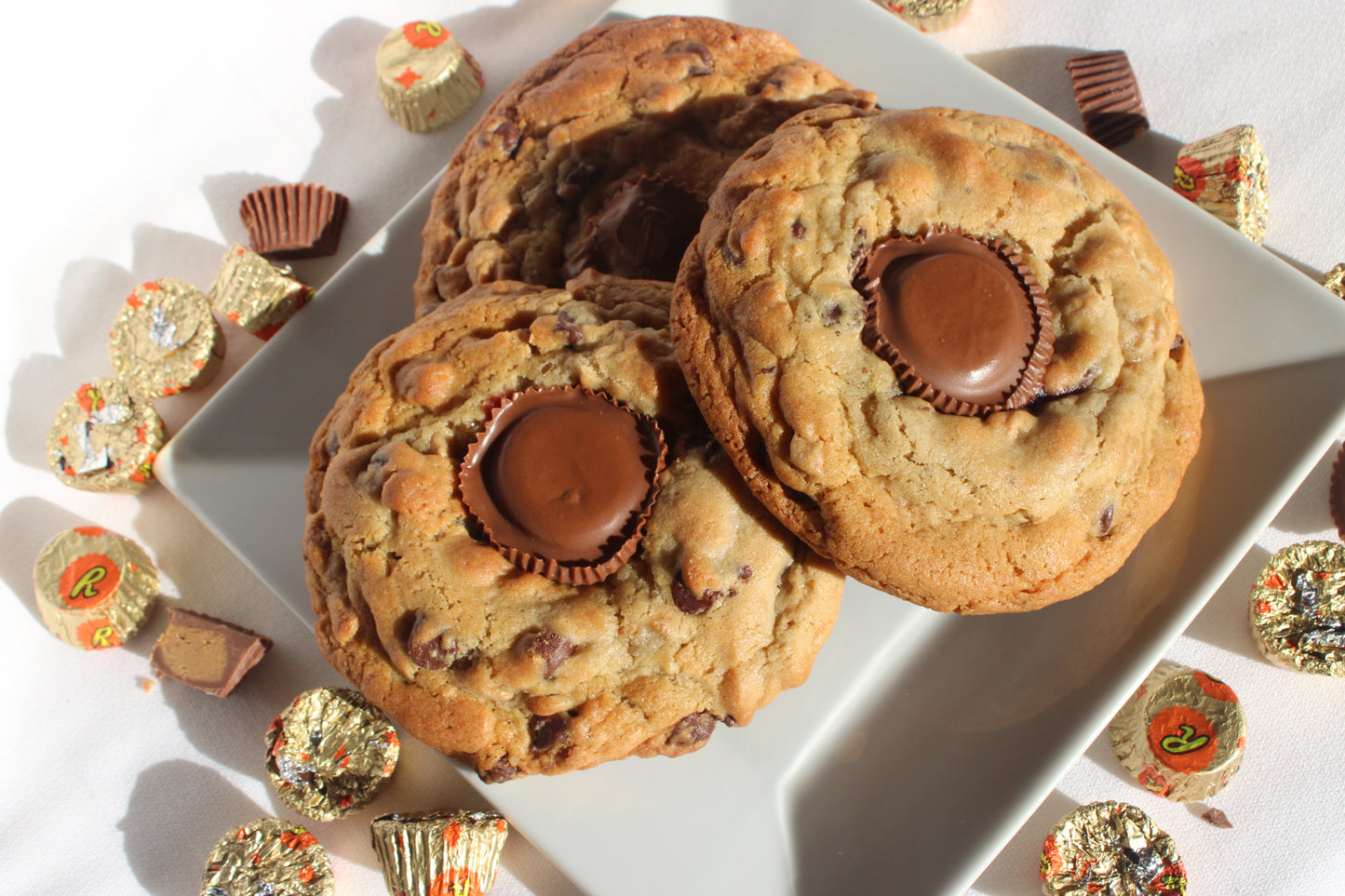 Chocolate Peanut Butter Cookie