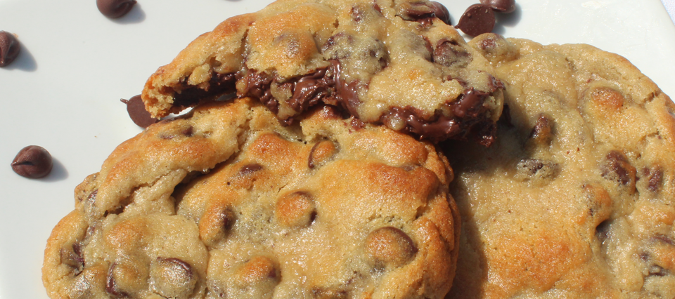 Chocolate Chip Cookie